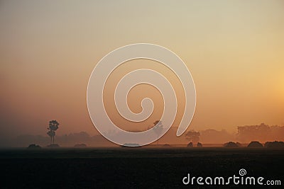 The villages of Bangladesh are covered in fog on winter mornings.The sun is not found Stock Photo