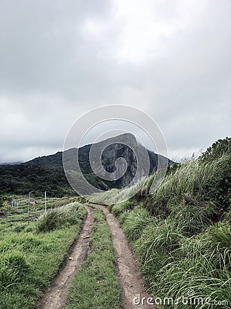 Villages roads always beautiful. Stock Photo