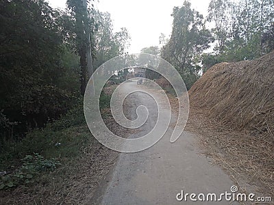This is the villages roads. There are show the actual image of Rural area. Stock Photo