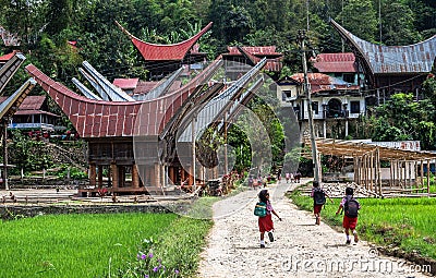 The villages at Tana Toraja, Sulawesi Editorial Stock Photo