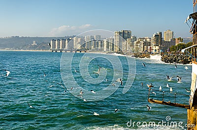 Vina del Mar beach in Chile Stock Photo