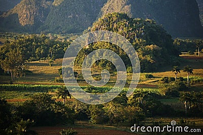 Vinales landscape in Cuba Stock Photo