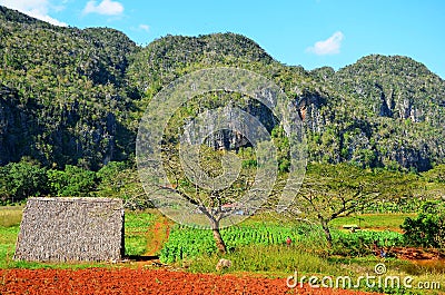 Vinales national park, Cuba Stock Photo