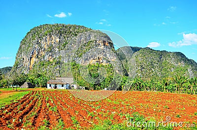 Vinales national park, Cuba Stock Photo