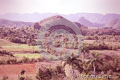 Vinales National Park Stock Photo