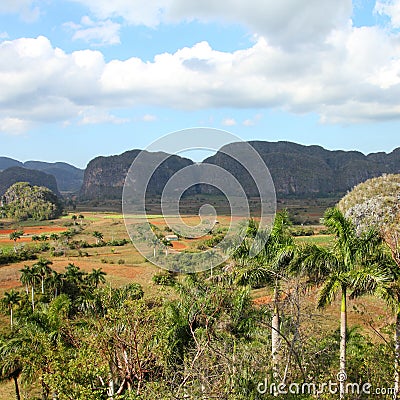 Vinales National Park Stock Photo