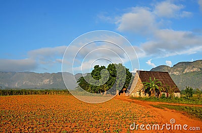 Vinales national park and its typical tobacco house, Cuba Stock Photo