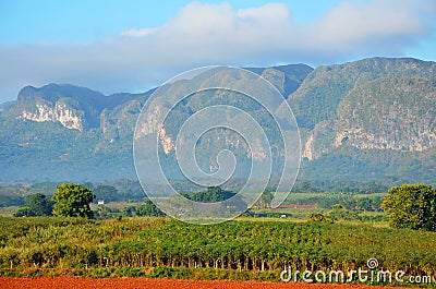 Vinales national park in the morning mist Stock Photo