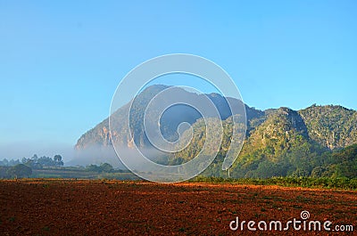 Vinales national park in the morning mist Stock Photo