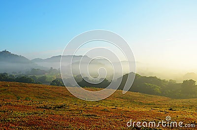 Vinales national park in the morning mist Stock Photo