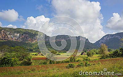 Vinales National Park, UNESCO, Pinar del Rio Province, Cuba. Stock Photo