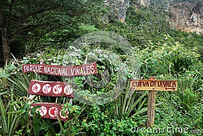 Vinales valley Cuba Caribbean Kuba UNESCO cigar Editorial Stock Photo