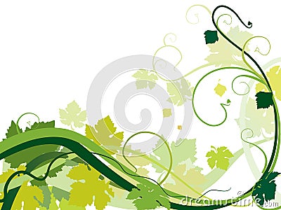 Vine background Vector Illustration