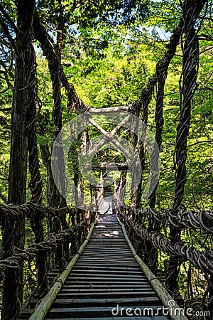 Vine bridge in Okuiya Stock Photo