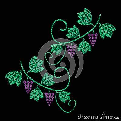 A vine with bunches of grapes. Embroidery of jeans. Embroidery is smooth. Vector illustration on a black background. Cartoon Illustration