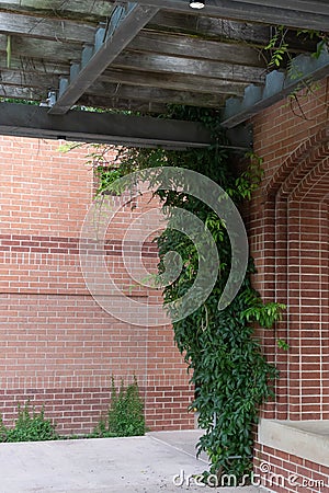 The Woodlands, Texas USA - July 11, 2021: A shade structure at Town Green Park. Editorial Stock Photo