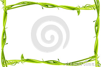 Vine frame Stock Photo