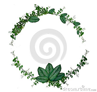 Vine and leaf monstera Circle of Isolates Used in design Border Frame made of Green climbing plant isolated on white background Stock Photo