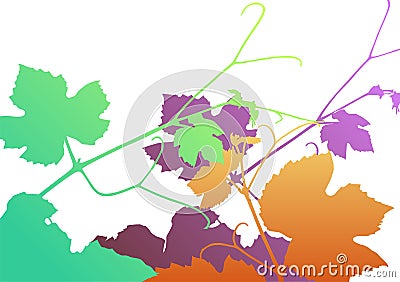 Vine leaves Vector Illustration