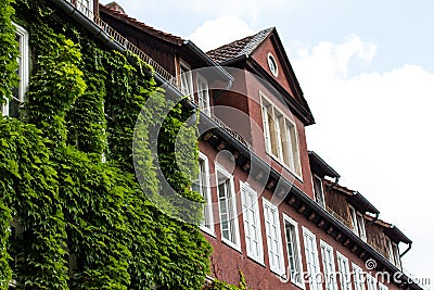 Closeup of vine overgrown historic woodframe buildings in downtown Hannover Stock Photo