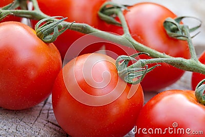 Vine ripened tomatoes. Stock Photo