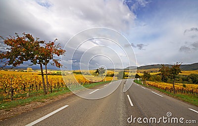 Vine Route Motorway Stock Photo