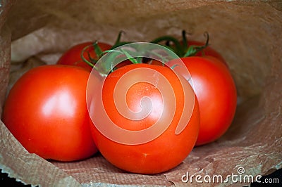 Vine Tomatoes Stock Photo