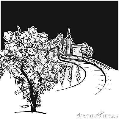 Vine tree and vineyard drawing detail Vector Illustration