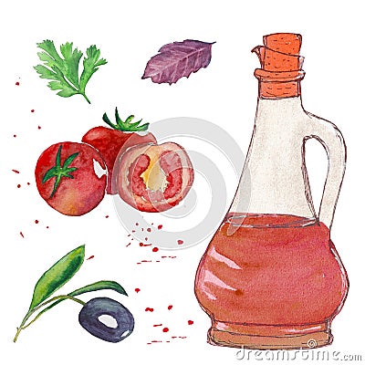 Vinegar jar bottle with salad ingridients tomato, basil, olive watercolor set Cartoon Illustration