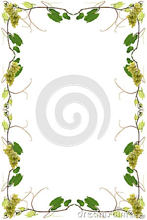 Vines Stock Photo