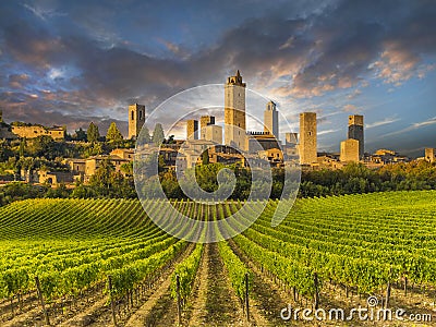 Vineyard covered hills of Tuscany,Italy Stock Photo