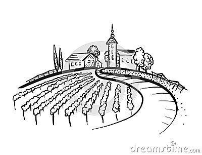 Vineyard Drawing with path and houses on hill Vector Illustration