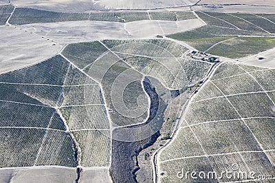 Vineyard farm near Jerez. Stock Photo