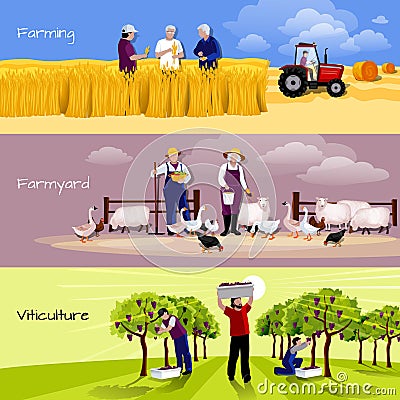 Vineyard Farmyard Crop Harvesting Flat Banners Vector Illustration