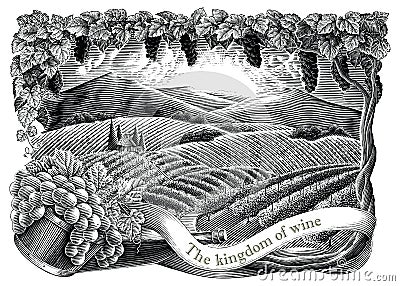 Vineyard with frame hand draw vintage engraving style black and white clip art isolated on white background Vector Illustration