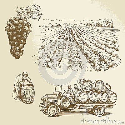 Vineyard, harvest, farm Vector Illustration