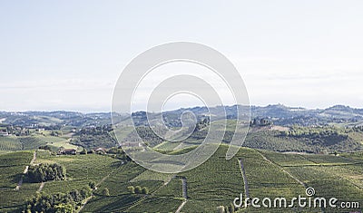 Vineyard italian landscape: Barbaresco Editorial Stock Photo