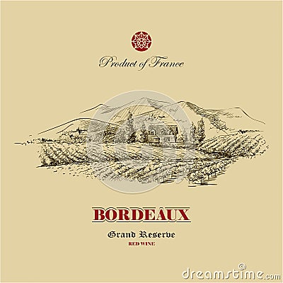 Vineyard landscape hand drawn, wine label design template Vector Illustration