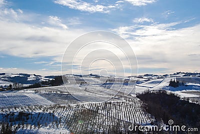 Vineyard Langhe with snow Stock Photo