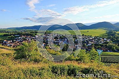 Vineyard near Ilbesheim in the Pfalz, Germany Stock Photo