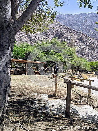 Vineyards Amidst Andean Majesty: Cafayate's Wine Country Stock Photo