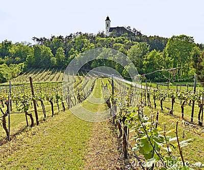Vineyards beneath pilgrimage church Stock Photo