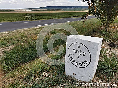 Moet & Chandon vineyards Editorial Stock Photo