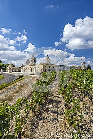 Vineyards with Chateau Cos d'Estournel, Bordeaux, Aquitaine, France Stock Photo