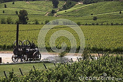 Vineyards - Colchagua Valley - Chile Stock Photo