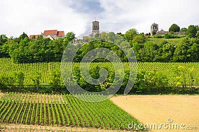 Vineyards in French Burgundy Stock Photo