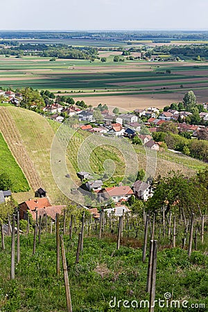 Vineyards in Lendavske Gorice in Slovenia Stock Photo