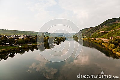 vineyards at the hills of the romantic river Mosel edge in summer with fresh grapes and reflection in the river Stock Photo