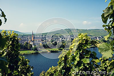 Vineyards of the Moselle Valley in Germany Stock Photo