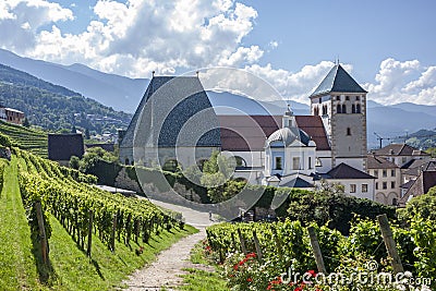 The vineyards of the Novacella Abbey, near Brixen Bressanone Stock Photo